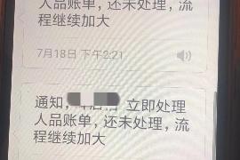 点军点军专业催债公司的催债流程和方法